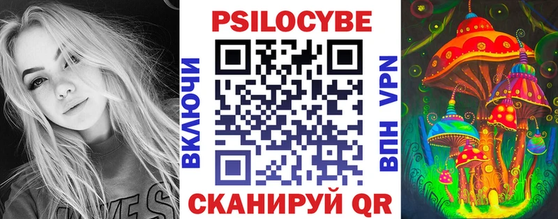 Купить закладки  Железноводск  Псилоцибиновые грибы GOLDEN TEACHER 